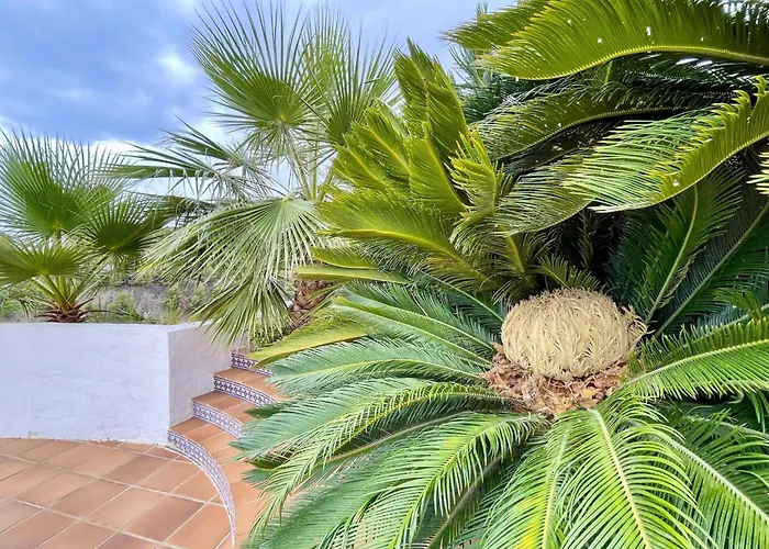Casa de Férias In Maro With Sea & Mountain Views *