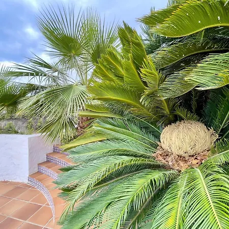 度假居 In Maro With Sea & Mountain Views *